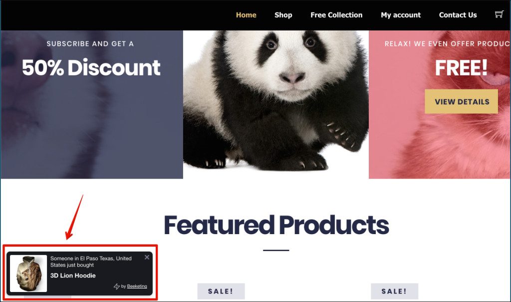 top-best-plugins-for-woocommerce-dropshipping-site13