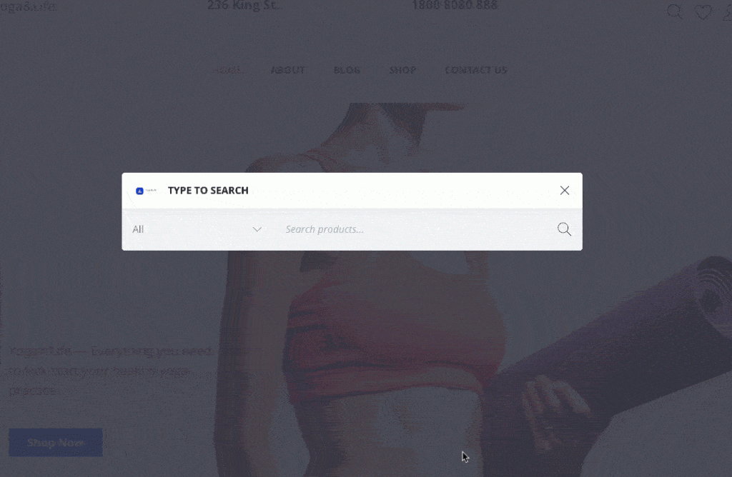 woocommerce-ajax-search